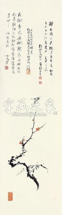 张大千梅花立轴纸本字画之家