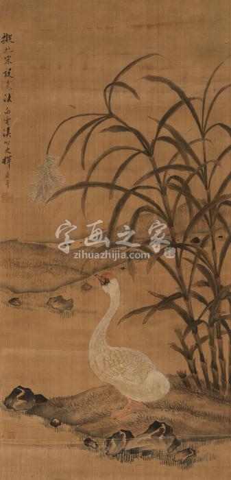 恽寿平（款）芦塘白鹅镜心绢本字画之家