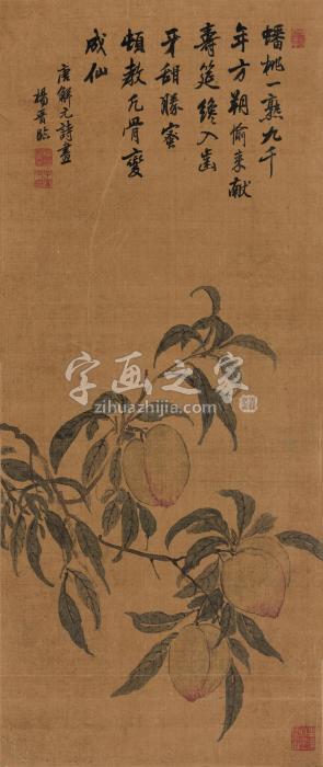 杨晋寿桃立轴设色绢本字画之家