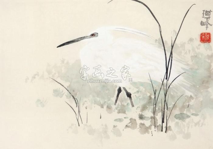 孙其峰白鹭鸶镜框设色纸本字画之家
