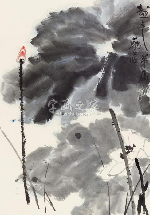 李苦禅荷塘春色镜心纸本字画之家