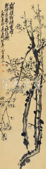 吴昌硕1915年作腊梅立轴纸本字画之家