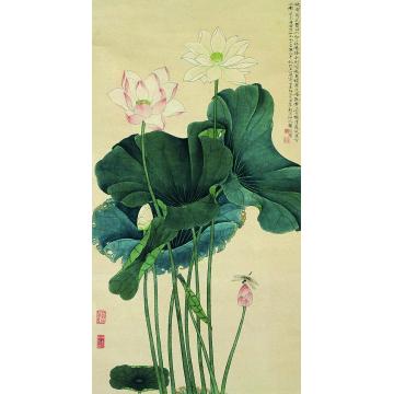 于非闇荷花蜻蜓图立轴字画之家