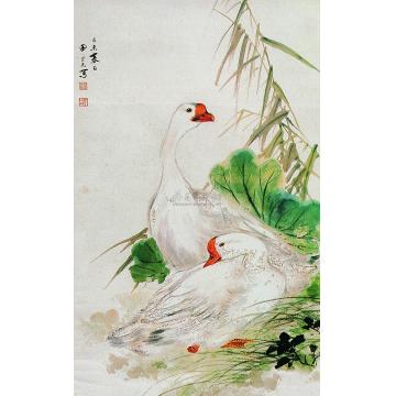 田世光己未（1955）年作白鹅芦苇图立轴字画之家