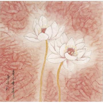 张金玲国画花鸟荷花系列·荷1字画之家