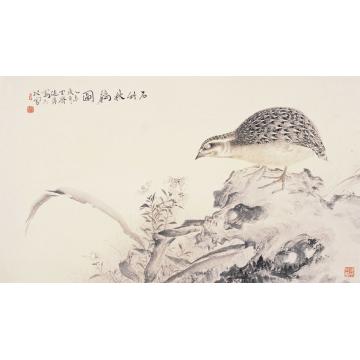 巨建伟国画花鸟石竹秋鹌图字画之家