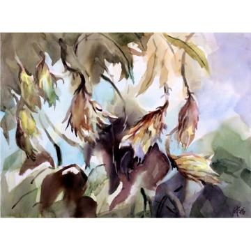 付子龙国画花鸟昨夜昙花字画之家