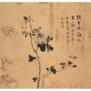 霍春阳国画花鸟独立疏篱字画之家