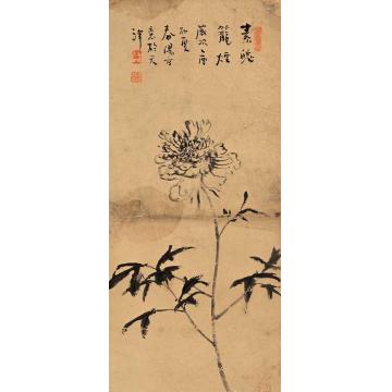 霍春阳国画花鸟素魄笼烟字画之家