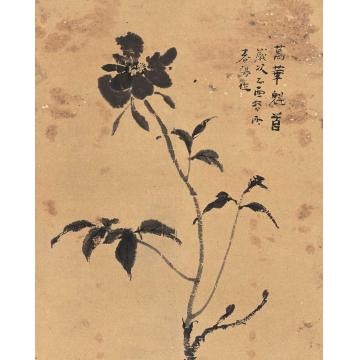 霍春阳国画花鸟万华魁首字画之家