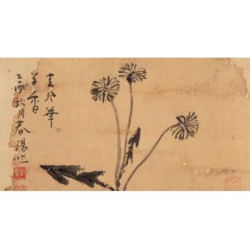 霍春阳国画花鸟春风花草香字画之家