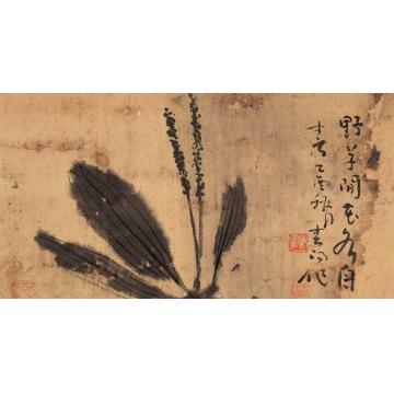 霍春阳国画花鸟野草问花字画之家