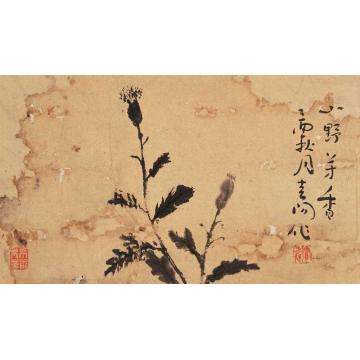 霍春阳国画花鸟山野芳香字画之家