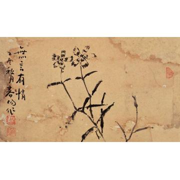 霍春阳国画花鸟无言有情字画之家