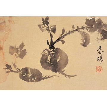 霍春阳油画静物丹彩字画之家