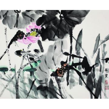 王易霓国画花鸟荷03字画之家