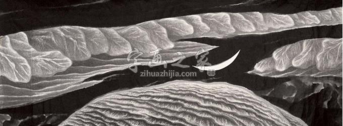 国画家贾又福字画之家
