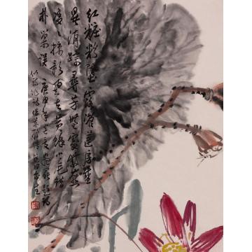 朱培钧国画花鸟红装粉堕字画之家