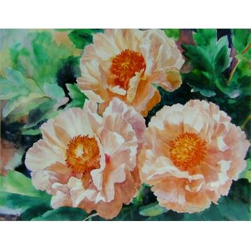 殷实国画花鸟芳馨三叠字画之家
