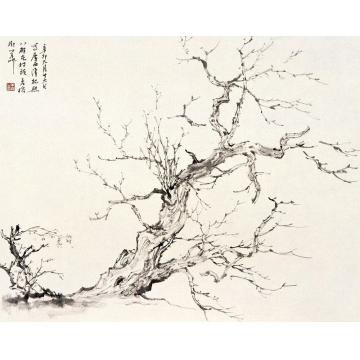羊草国画花鸟写生之一字画之家