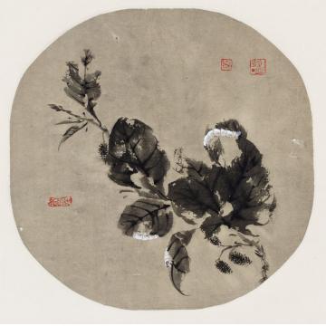 赵晨国画花鸟作品字画之家