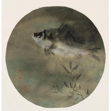 赵晨国画花鸟作品字画之家