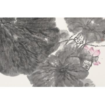 杨平国画花鸟夏荷写生之一字画之家