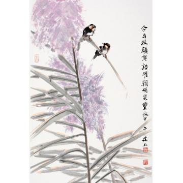 杨建五国画花鸟今日枝头絮语字画之家