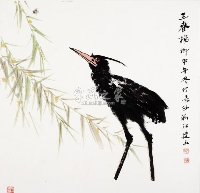 国画家杨建五字画之家