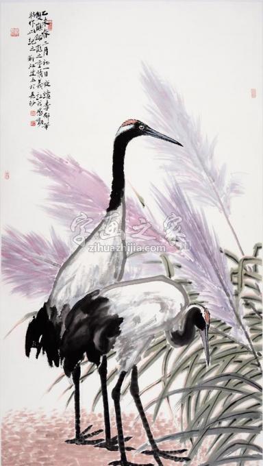 国画家杨建五字画之家