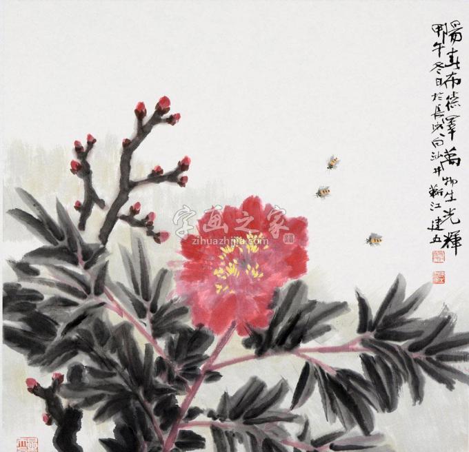 国画家杨建五字画之家