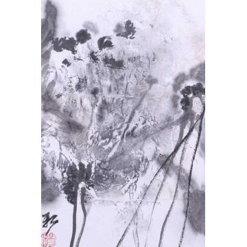杨国新国画花鸟飘字画之家