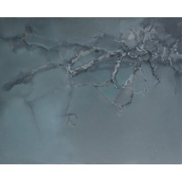 杨慧国画花鸟枝字画之家