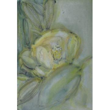 杨慧国画花鸟花之八字画之家