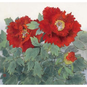 刘孟宽国画花鸟红牡丹字画之家