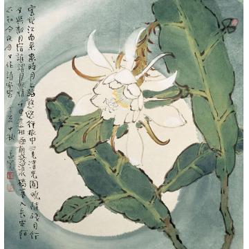 刘孟宽国画花鸟昙花字画之家