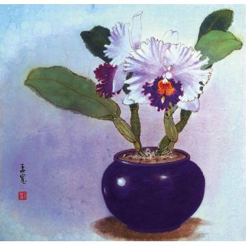 刘孟宽国画花鸟紫花瓶字画之家