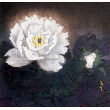 刘孟宽国画花鸟夜牡丹字画之家