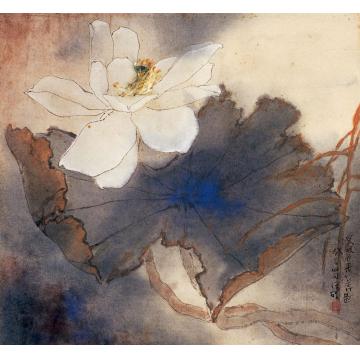 刘孟宽国画花鸟云破月来花弄影字画之家