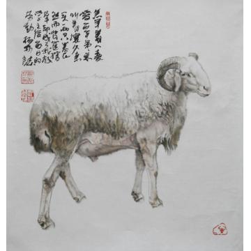 郑柏林国画动物《羔羊》字画之家