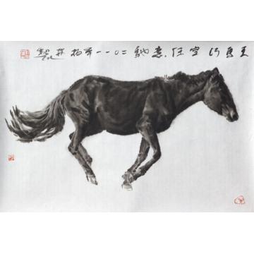 郑柏林国画动物《天马行空》字画之家