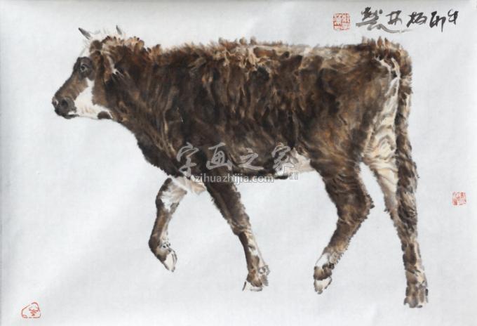 国画家郑柏林字画之家