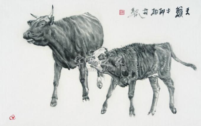 国画家郑柏林字画之家