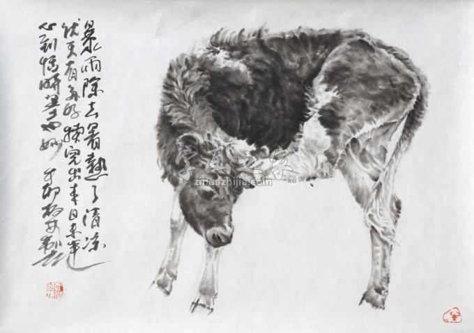 国画家郑柏林字画之家