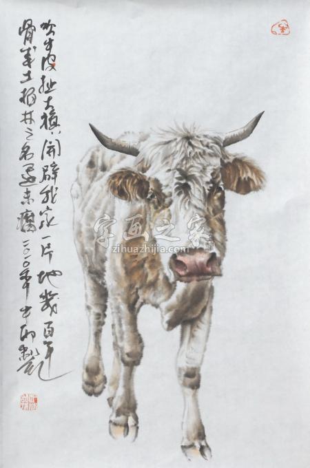 国画家郑柏林字画之家