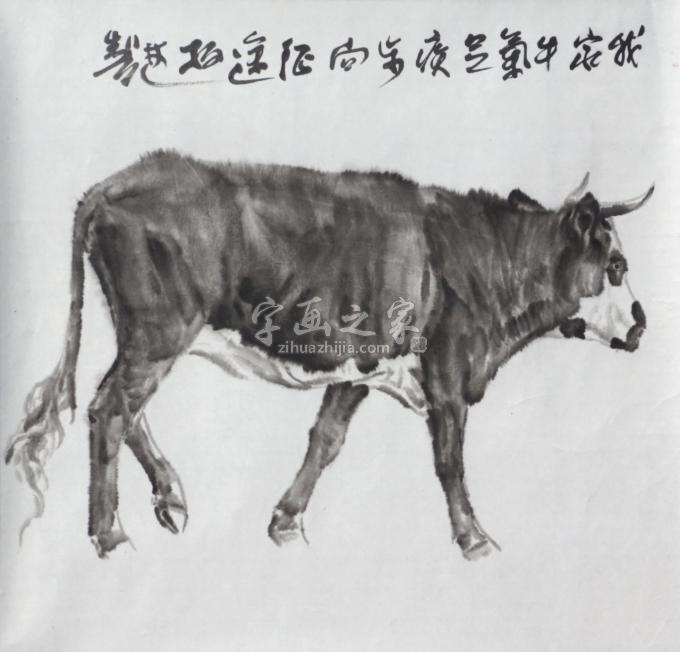 国画家郑柏林字画之家