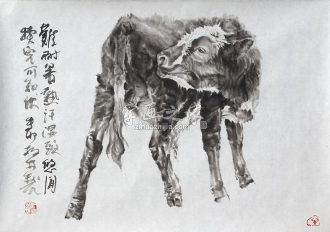 国画家郑柏林字画之家