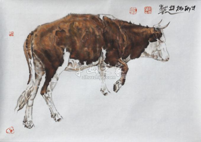 国画家郑柏林字画之家
