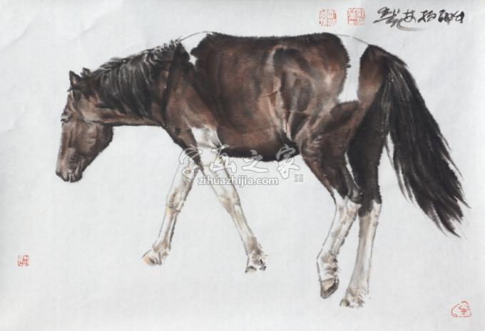 国画家郑柏林字画之家