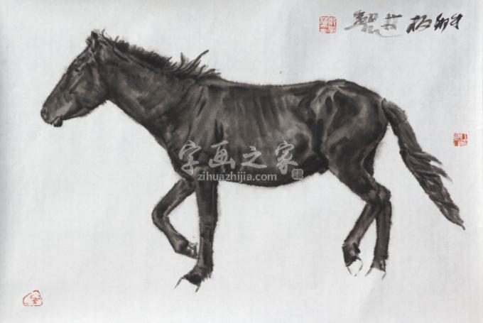 国画家郑柏林字画之家